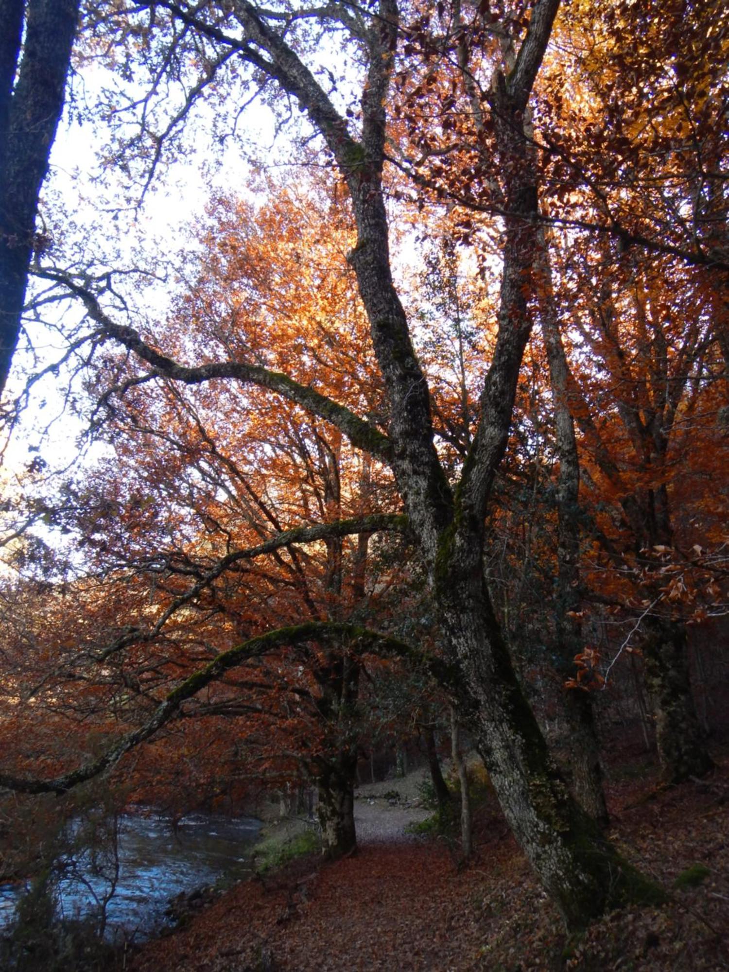 Alojamiento Rural Fuente Del Arca Прадена-дель-Ринкон Экстерьер фото